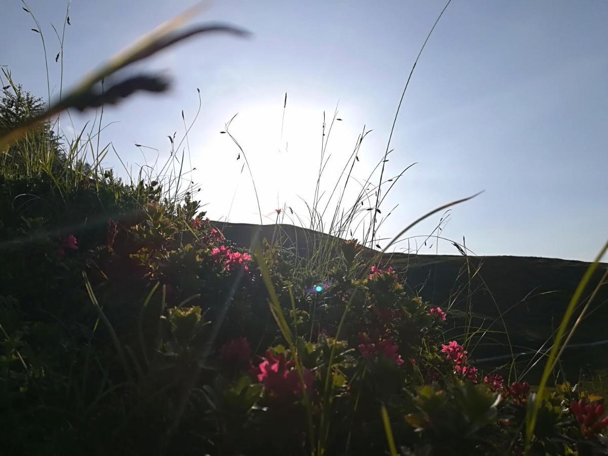 Herbst Wohnerlebnis Lofer Exterior foto