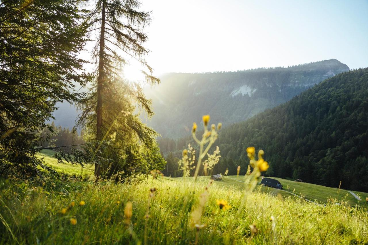 Herbst Wohnerlebnis Lofer Exterior foto